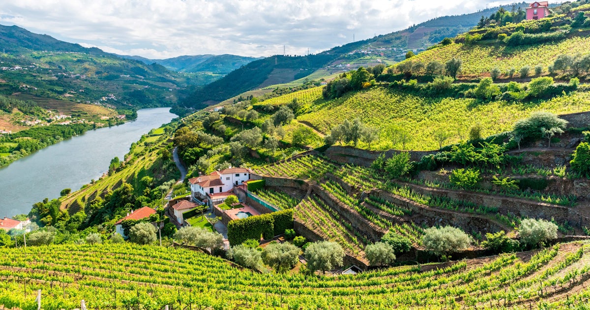 Douro Valley Wine Tour With Lunch Tastings River Cruise From Porto