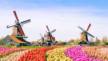 edam volendam zaanse schans marken