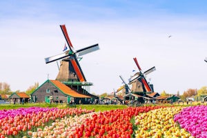 Amsterdam Windmills Tour