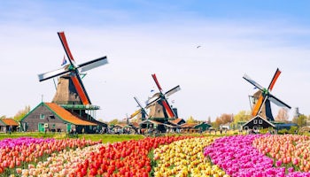 Amsterdam Windmills Tour