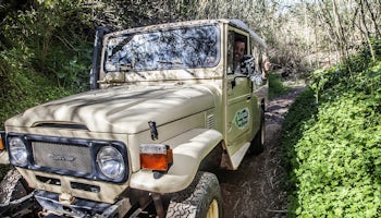 Jee Safari Algarve 2